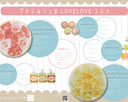 Cosme Catalog